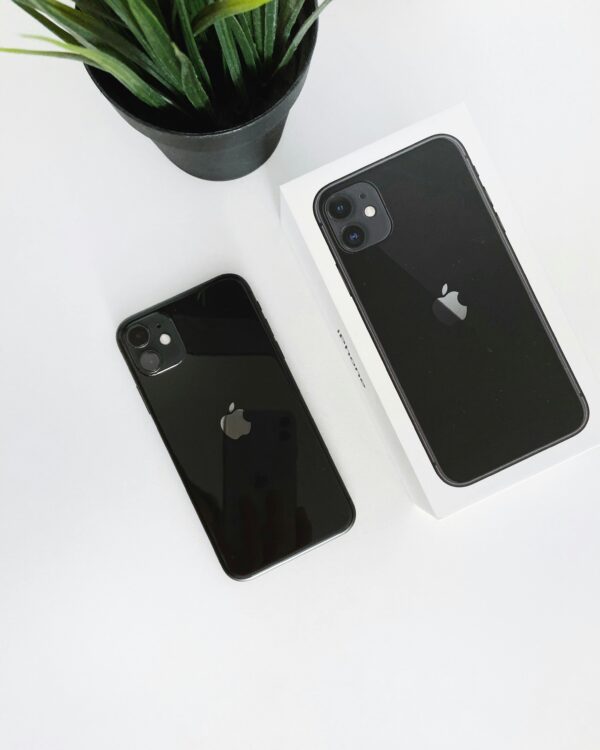 Apples