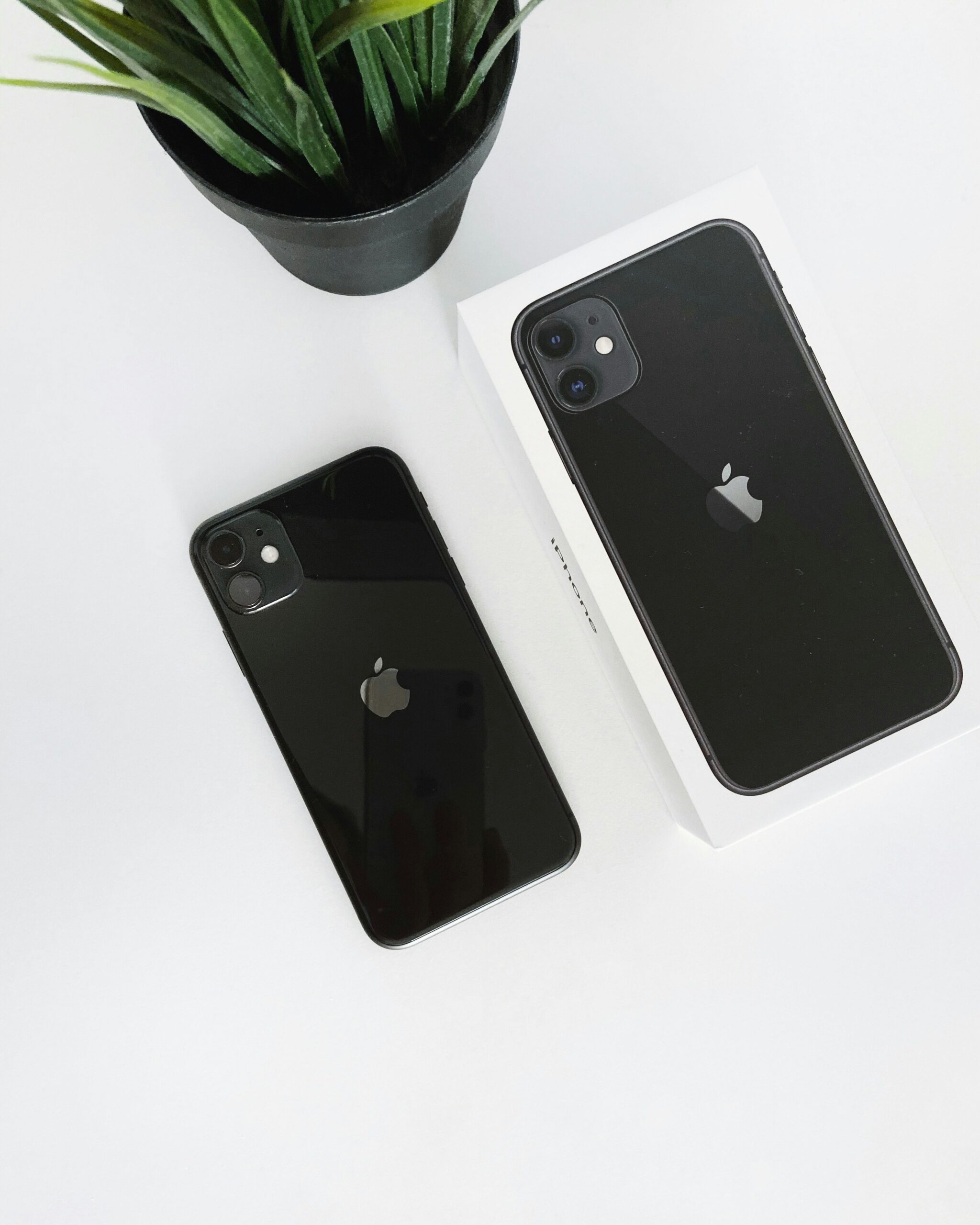 Apples